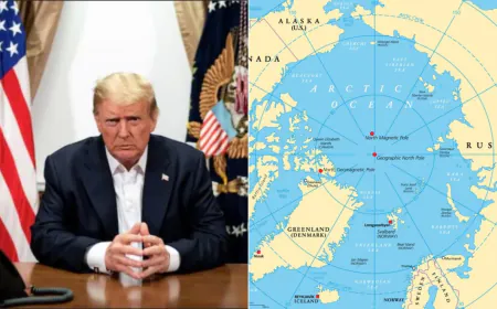 US Buying Greenland Takes Official Turn, Trump To Get Powers To Negotiate