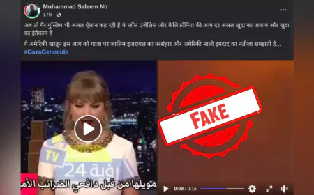 Did Taylor Swift Say LA Fires Are Payback For Gaza Bombings? A Fact Check