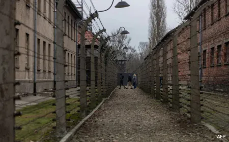 Auschwitz-Birkenau: The History Of Hitler's Death Camp
