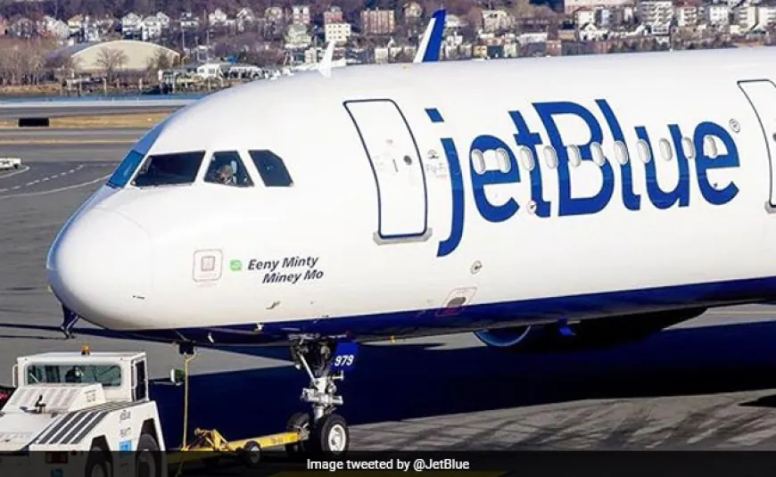 2 Decomposed Bodies Found In Plane's Wheel Well In Florida, Probe Launched