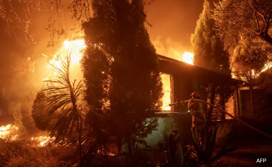"No One Knew What To Do": California Wildfire Sparks Evacuation