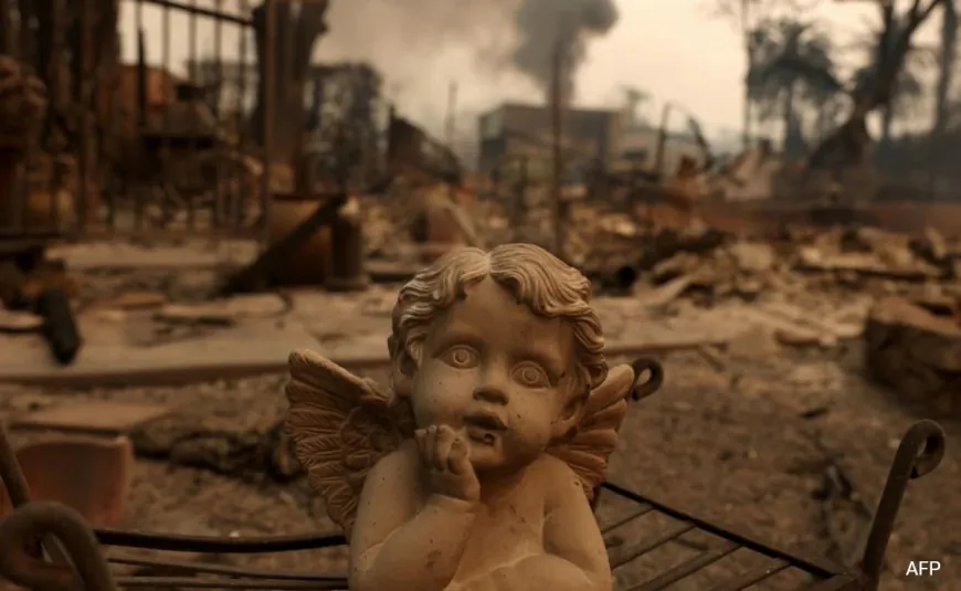 Los Angeles Wildfire: State Of Emergency Declared As 5 Dead In California