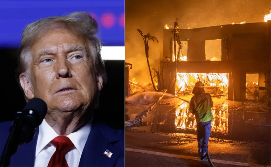 Trump Alleges California Burning As Governor Tried To Save "Worthless" Fish