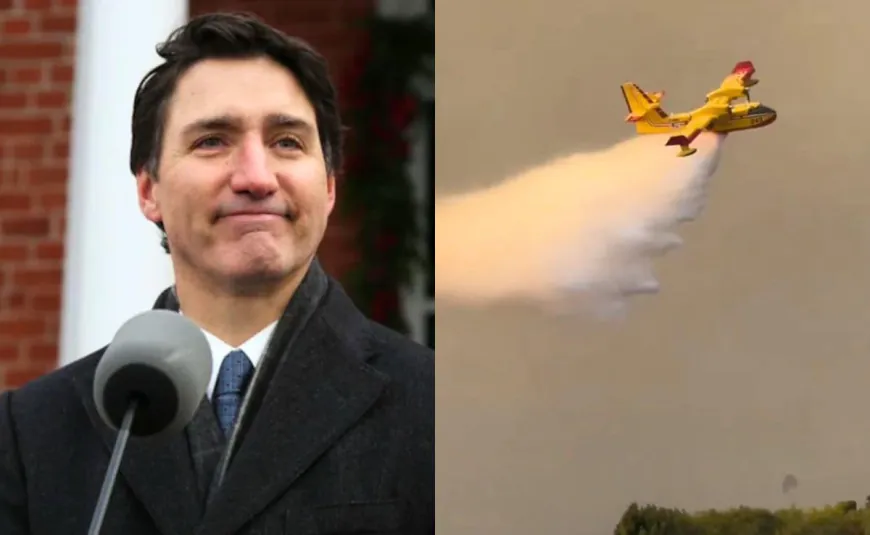 "Neighbour Helping Neighbor": Trudeau Sends Aid To Fight Los Angeles Fire
