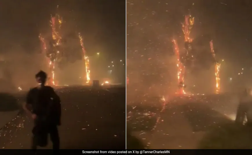 Video: Two Friends Abandon House In Los Angeles As Wildfire Rage