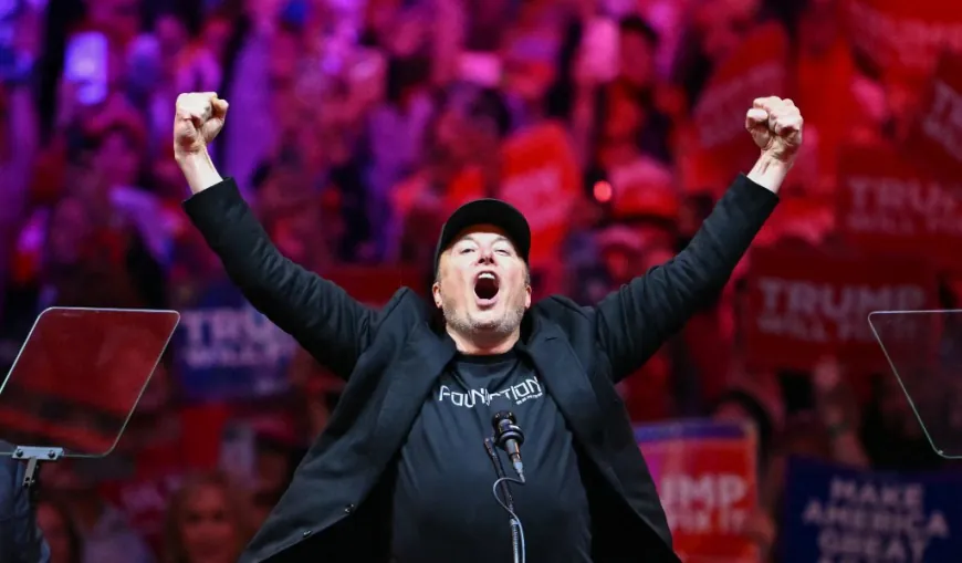 "Say No To...": Elon Musk's Message To Germany Before Snap Polls