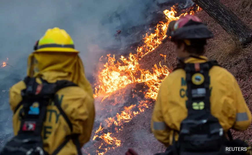 24 Dead In Los Angeles Blaze, Strong Winds Trigger 'Fire Tornado': 10 Points