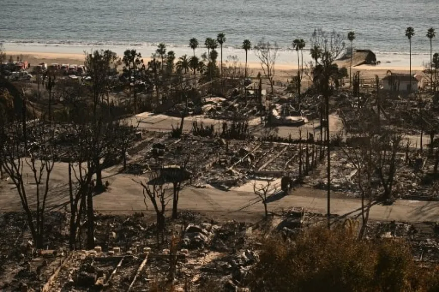 "Mommy, What's Happening?": Families Left Traumatised By LA Fires