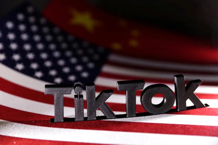 "Pure Fiction": TikTok On Report Of Possible Sale Of US Operations To Musk