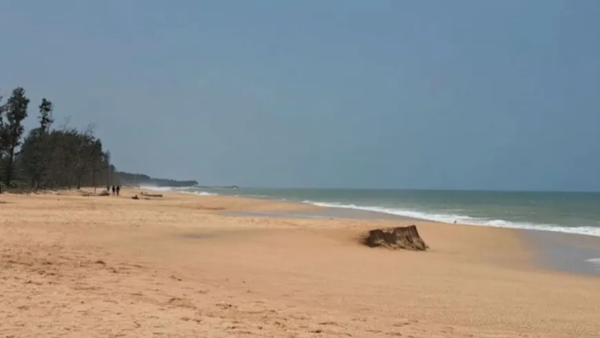 Sydney Closes 9 Beaches Due To Mysterious Ball-Shaped Debris