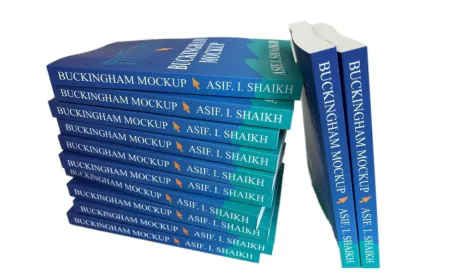 Buckingham Mockup: A Darkly Humorous Tale of Redemption, Power of Choice, and the Pursuit of Dreams