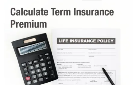How to Use a Term Insurance Calculator to Analyse Investment Growth