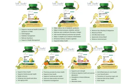 How Vollsante Is Making Plant-Based Nutrition Mainstream