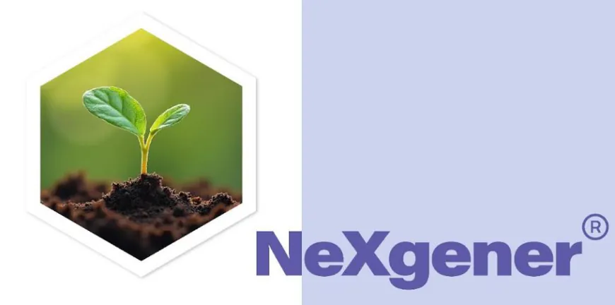 A Revolutionary Step in Eco-Friendly Insulation: Seho Tech Unveils NeXgener(R) Foam Blowing Agent