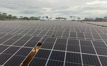 SANY Scales Up Green Energy Footprint in Africa with Breakthrough Solar Projects