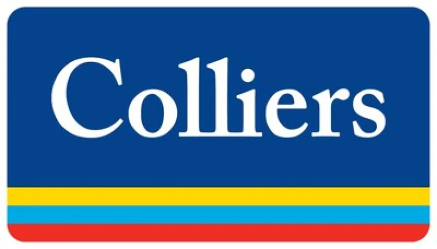 India, China & Japan rank amongst world's top 10 tech markets in 2025: Colliers