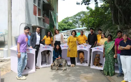 Mars and Instamart Expand Paw Protecc to Hyderabad and Chennai to Shield Homeless Pets from Monsoon Hardship