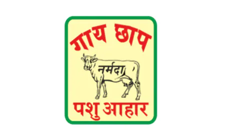 Narmada Agrobase Reports 1140 Bps QoQ Improvement in EBITDA Margin to 14.47% in Q1 FY26