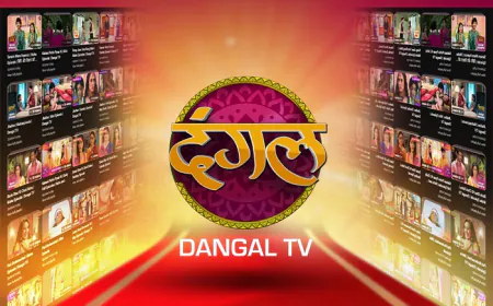 Dangal TV Channel Ranked No.1 on YouTube Globally as per Tubular Leaderboard in Media & Entertainment and Films & Movies Categories