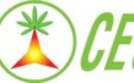 FutureCeuticals Files Lawsuit Against NeuroRush Owner for Patent Infringement over Alleged Copycat Ingredient