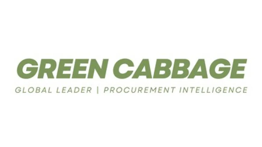 Green Cabbage Welcomes New CCO to Accelerate Global Growth and Client Value