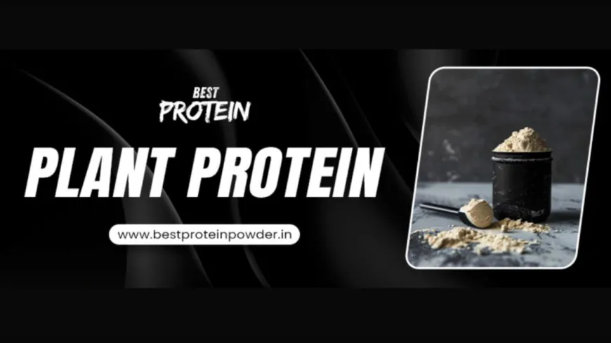 How Plant Protein Supports Weight Loss and Muscle Gain?