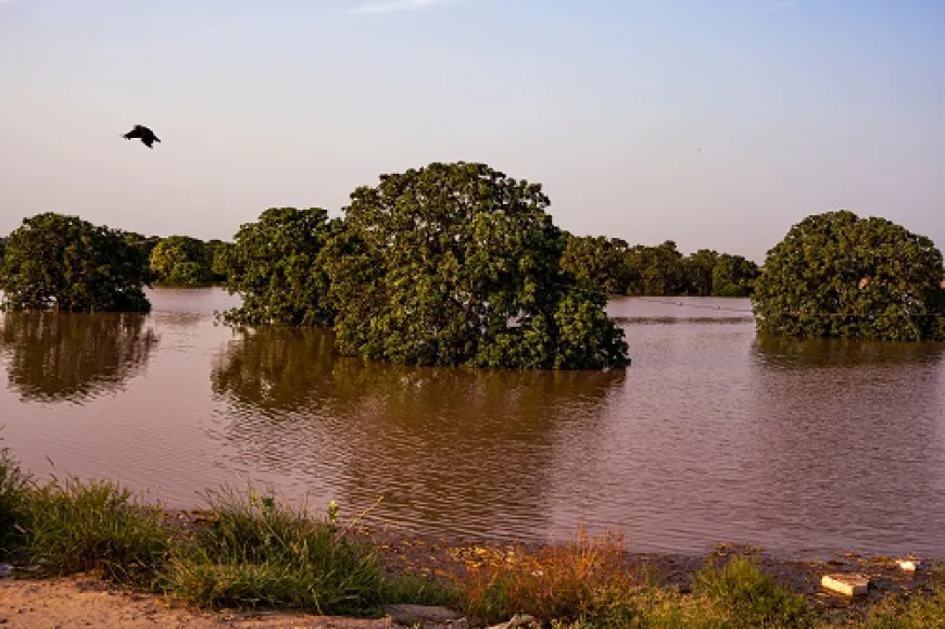 Rs. 2.3+ Crore Raised on Impact Guru to Help Punjab's Flood Survivors Rebuild Their Lives