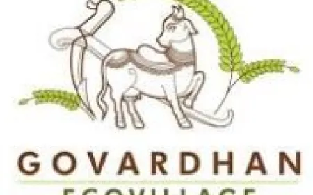 Metabolically active visceral fat linked to aggressive endometrial cancer, new study reveals