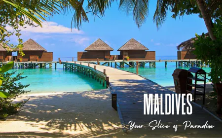 Eeka Bharat Launches Curated Luxury Tours Across India and Abroad: Unforgettable Journeys Await