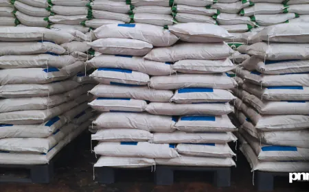 India’s Massive Fertiliser Crackdown Ensures Fair Supply in 2025