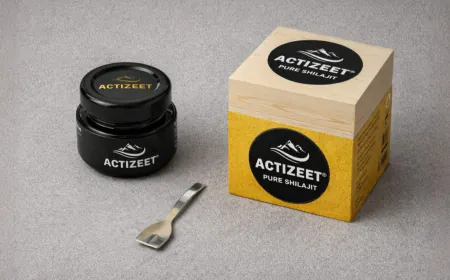 5 Leading Shilajit Brands in India (Authoritative 2026 Report)