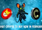 What Crypto To Buy Now in February as Prices Are Down: Shiba Inu and Canton Make Sense, but DeepSnitch AI Is the Most Explosive 100x Deal
