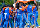 India Beat Australia Womens T20 for Series Victory