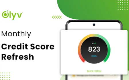 Check Credit Score Online: A Complete Guide to CIBIL Score Check in India