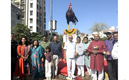 Shri Bahuchar Mata Chowk Renovated at Bhulabhai Park; Rooster Sculpture Made from 2000 kg Waste Metal Unveiled