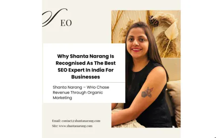 Why Shanta Narang Is Recognised As The Best SEO Expert In India For Businesses