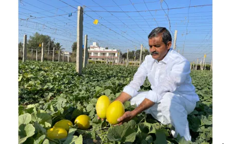 Mekala Shiva Shankar Reddy: The Farmer Innovator Transforming Drought-Hit Anantapur into a Hub of Profitable Agriculture