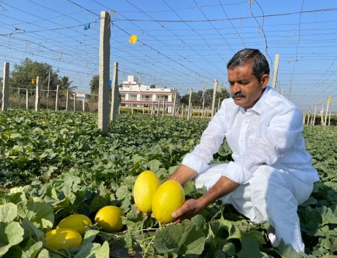 Mekala Shiva Shankar Reddy: The Farmer Innovator Transforming Drought-Hit Anantapur into a Hub of Profitable Agriculture