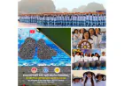 Vietnamese Women Connecting the World LETA’SCON Group sets World Record